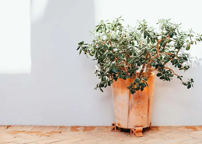 Convento San Diego - Singulars Boutique Hotels