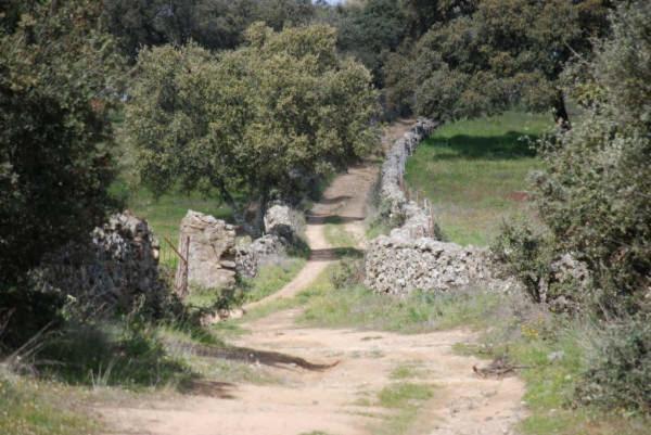 Convento San Diego - Singulars Boutique Hotel 4*